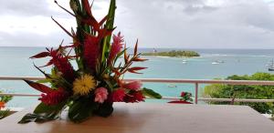 Imagen de la galería de Cazanny, en Le Gosier