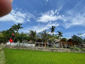 a house with a sign in a rice field at mai chau rice fields homestay in Mai Châu