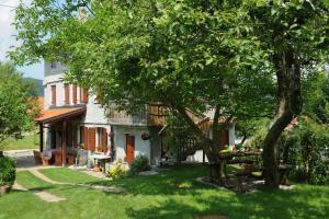a house with a tree and a picnic table in the yard at Holiday Farmhouse Skvor in Robidišče