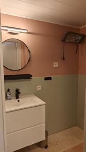 une salle de bain avec un lavabo et un miroir dans l'établissement Felix De Haan, au Coq