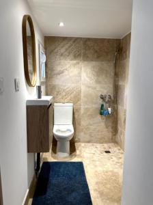 a bathroom with a toilet and a sink and a mirror at T2 à 5mn à pieds du Cours Mirabeau in Aix-en-Provence