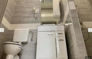 a small bathroom with a toilet and a sink at Cityhall Apartments in Miskolc +4 photos