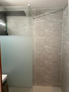 a shower with a glass door in a bathroom at Charmant T1 Bis Cabine - Parking privé in Luchon