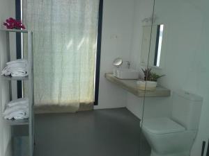a bathroom with a toilet and a sink and a mirror at Sargo, vistas espectaculares entre mar y volcán in Punta de Mujeres