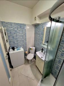 a bathroom with a toilet and a sink and a shower at Palas Center Loft in Iaşi