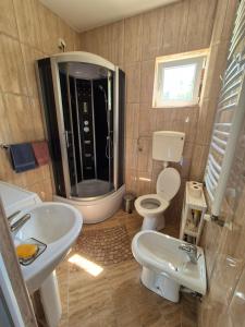 UbにあるRio Apartmani Ubの洗面台、トイレ、シャワー付きのバスルーム +13枚の写真