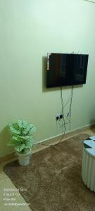 TV de pantalla plana colgada en una pared con una planta en Comfort stay, en Naivasha