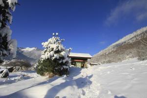 モントリオンにあるLe Petit Nid d'Amour, Propriétés Mont Amourの雪に覆われた木が目の前にある家