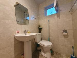 a bathroom with a toilet and a sink and a mirror at Певчая птица in Dilijan +17 photos