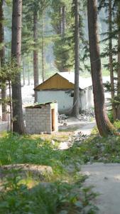 a small building in the middle of a forest at Baba Jani Kumrat in Tāl