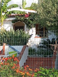 Fotografie z fotogalerie ubytování La casita v destinaci Capo Vaticano