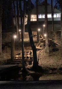 a park at night with trees and lights at Lakeside Lodge on Bluegill- Arcade, Dock, FirePit in Eatonton