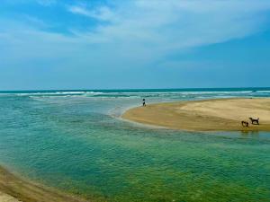 Photo de la galerie de l'établissement Dreamy vibe Stays, à Morjim