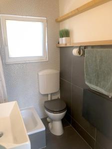 a bathroom with a toilet and a window and a sink at Das Haus am Berg in Rathmannsdorf