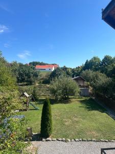 a garden with a bush in the middle of a yard at PatakLak Vendégház in Orfű +1 photo