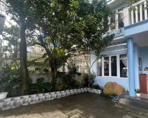 a house with a tree in front of it at Hoshi Dalat Fullhouse in Xuan An