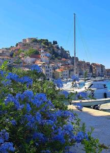 Φυσικό τοπίο κοντά σε αυτό το διαμέρισμα