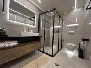 a bathroom with a shower and a sink and a toilet at ANAVASI Loft SUITE in Alexandroupoli +56 photos