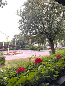a flower garden with red flowers in a park at Das CLASSIQUE Galerieappartement 45qm - Elegant und geräumig wohnen - Espressomaschine, Airfryer, ruhiger Balkon, Poseidon Therme im Haus - inkl Parkgarage in Bad Griesbach