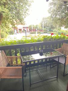 a table with a plant in it on a patio at Das CLASSIQUE Galerieappartement 50qm - Elegant und geräumig wohnen - Espressomaschine, Airfryer, Balkon, Vierbeinerfreundlich, Parkgarage -AppHaus Poseidon in Bad Griesbach +13 photos