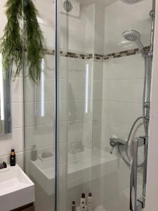 a shower with a glass door next to a sink at Haus am Waldrand in Todtmoos