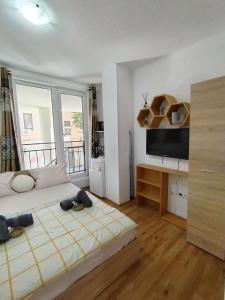 プロブディフにあるGood Mood Roomの大きなベッドとテレビのある寝室