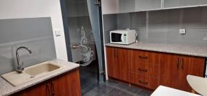 une cuisine avec un évier et un micro-ondes sur un comptoir dans l'établissement Żołnierska Hostel, à Leszno