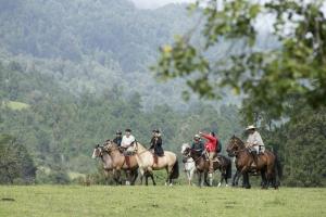 a group of people riding horses in a field at Entre Rios Lodge in Ranco