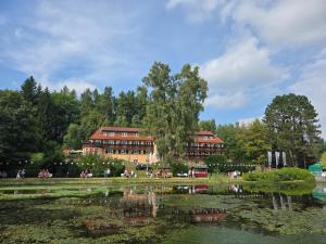 a building with a pond in front of a building at Parkhotel Bad Brambach in Bad Brambach
