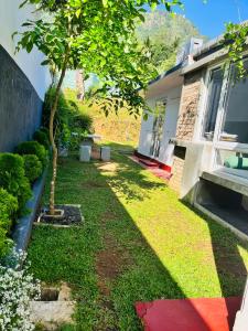 a yard with a tree next to a house at The Releaf-Ambuluwawa in Gampola