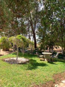 a park with a table and chairs and a tree at Namibgrens Guest Farm in Namibgrens +3 photos