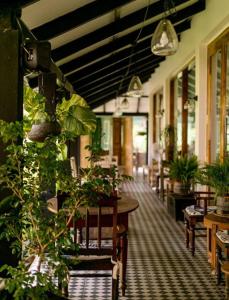 カルジャットにあるOleander Farms, Karjatのテーブルとたくさんの植物がある部屋
