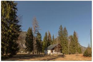 a house in the middle of a forest of trees at Cozy Mountain Stay near Kranjska Gora in Gozd Martuljek