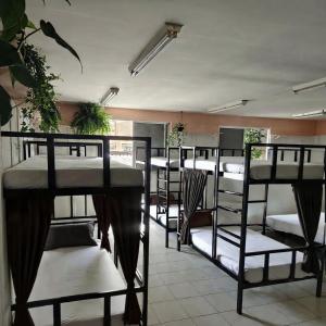 a group of bunk beds in a room at JUNGLE STATION - Hostel in Belém