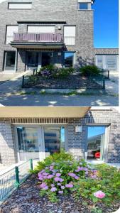 two pictures of a building with flowers in front of it at Ferienapartment Münster in Münster +2 photos