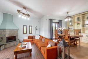 a living room with a couch and a fireplace at Aelion Escape in Miríki