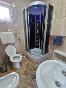 a bathroom with a shower and a toilet and a sink at Rio Apartmani Ub 2 in Ub +11 photos