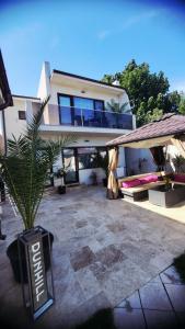 a house with a potted plant in front of it at Casa Sunrise Mangalia in Mangalia