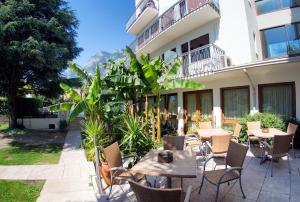 Zahrada ubytování Hotel Bristol