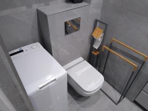 a small bathroom with a white toilet and a shower at Apartament Bocianek in Kielce