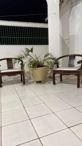 dos bancos sentados en un patio con plantas en Hostel da Dinda, en São Luís 4 fotos más