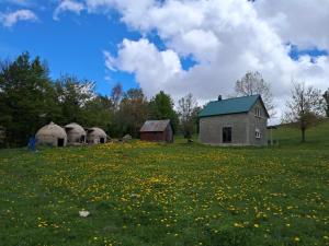 an old barn in a field of flowers at Krnovo Mountain Lodge in Kruševice