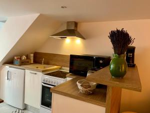 a kitchen with a vase of flowers on a counter at Charmante maison de village dans le Conflent in Marquixanes +19 photos