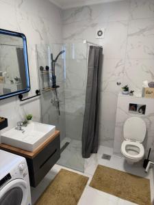 ノヴィサドにあるLux apartment Square 28のトイレ、洗面台、シャワー付きのバスルーム