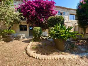 a garden with plants in front of a house at LE DOMAINE D'AMBRE La maison des Vendangeurs in Gallician