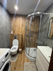 a bathroom with a shower and a toilet and a sink at Gerasima Kondratyeva 152 in Sumy