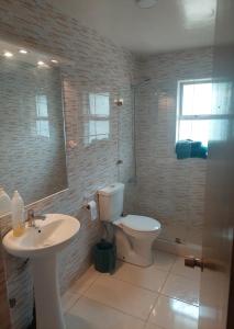 a bathroom with a toilet and a sink and a shower at Lomas San Andres in El Cerrillo