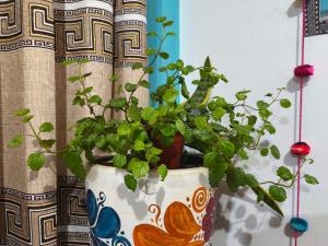 Gallery image of Hospedaje Qoricha'skas Airport in Cusco