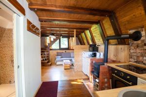 a kitchen and living room in a log cabin at Little paradise house in Lič