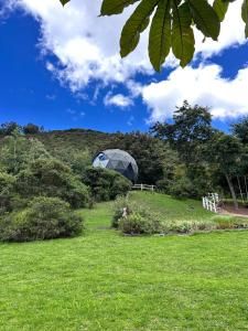 a green field with a glass dome in the background at La Divina de Juaica in Tenjo